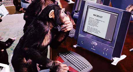 โฆษณา Google Adword คุณภาพต่ำ ไม่เห็นผล