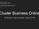 online-business-cluster