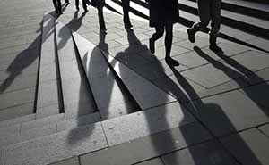 professional seo services