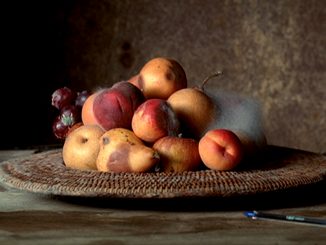 ไม่ให้ Google Index ใน Achive WordPress