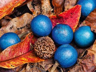 อับดับ google ตก impression ลดลง ใน wmt