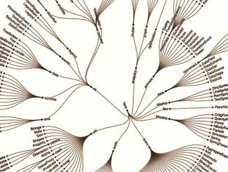 การหา backlink