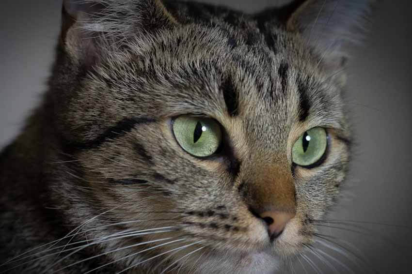 optimization cpc solutions