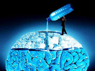 neurmarketing คืออะไร