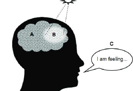 reflective consciousness