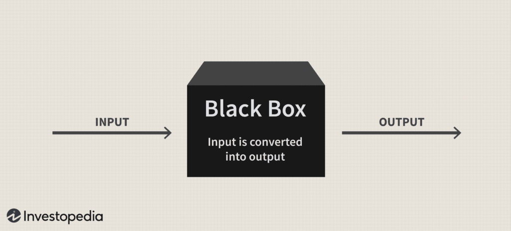 Google Black Box